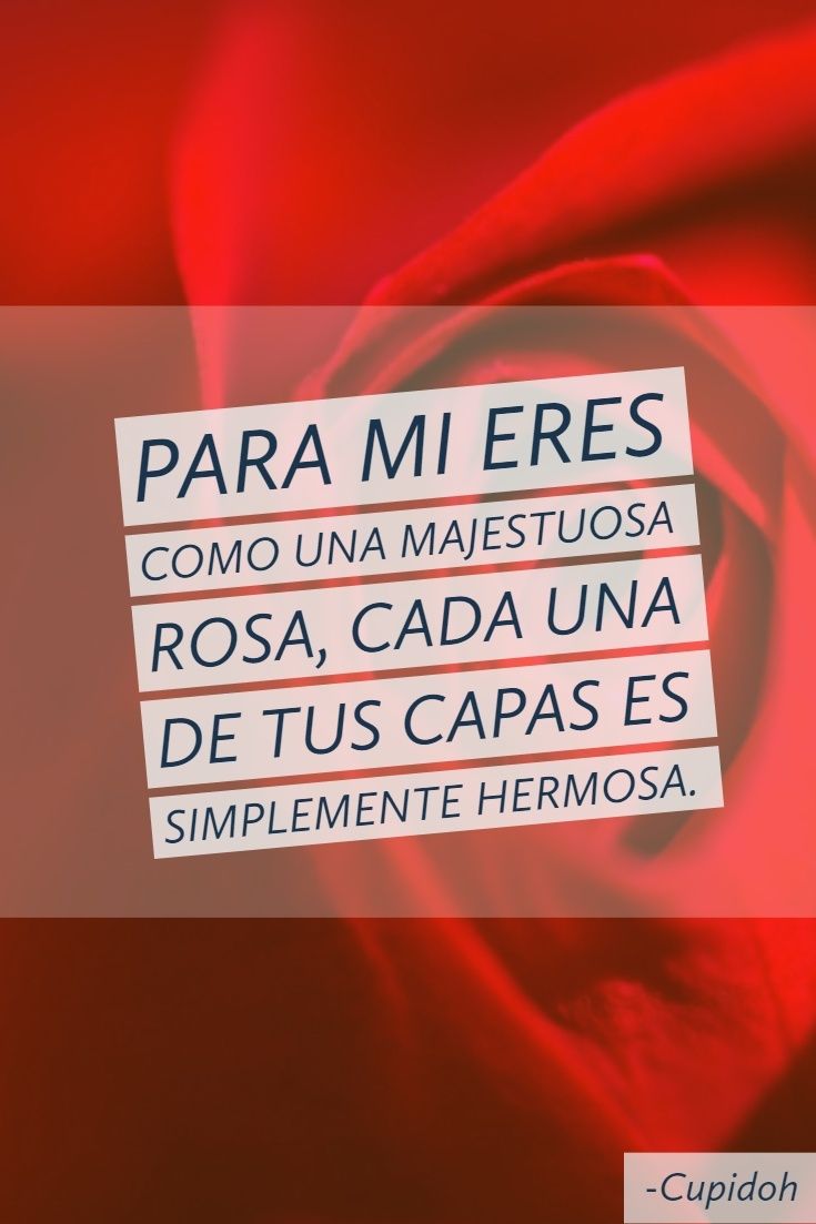 eres como una rosa