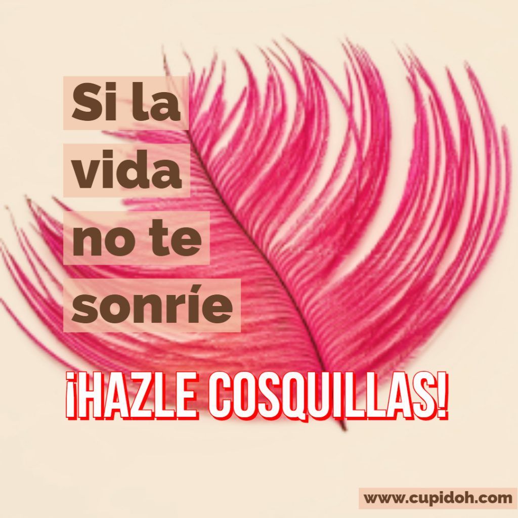 Le Pedi Cafe Y Me Dijo Solo Queda Te