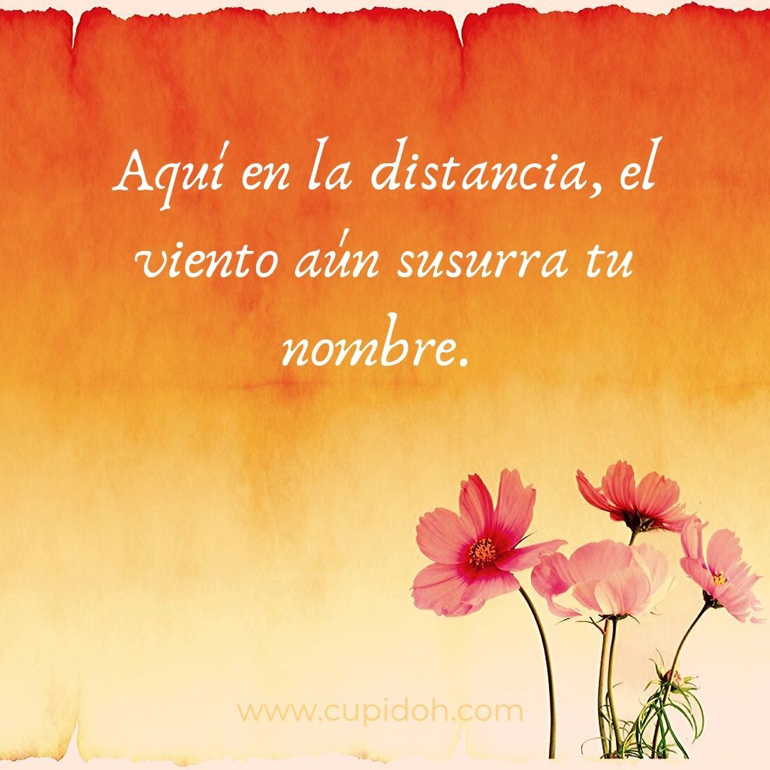 mensajes para dedicar