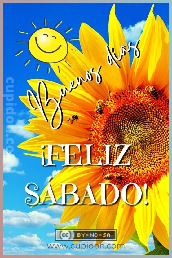 Feliz sábado imágenes para dar los buenos días